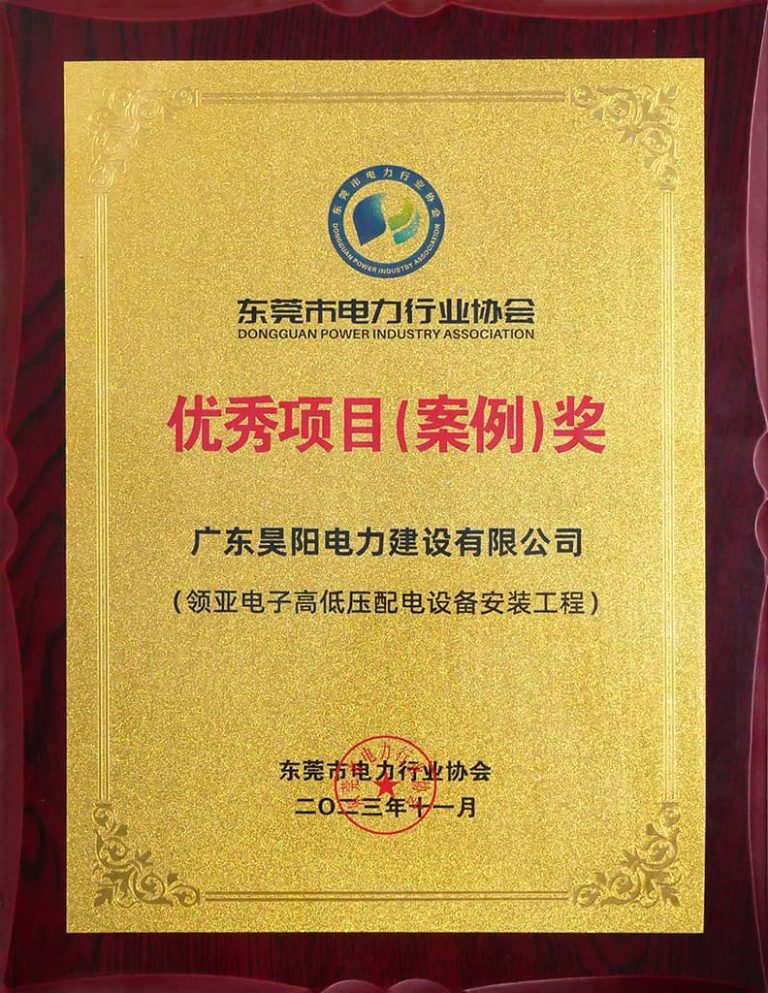 优秀项目（案例）奖