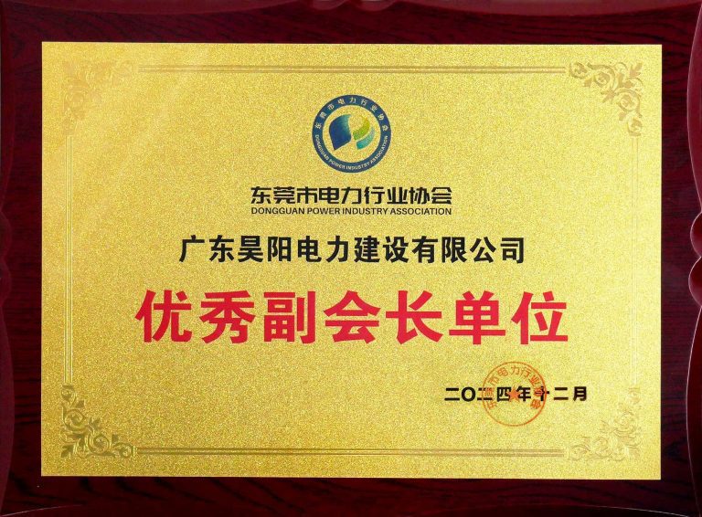 2024优秀副会长单位